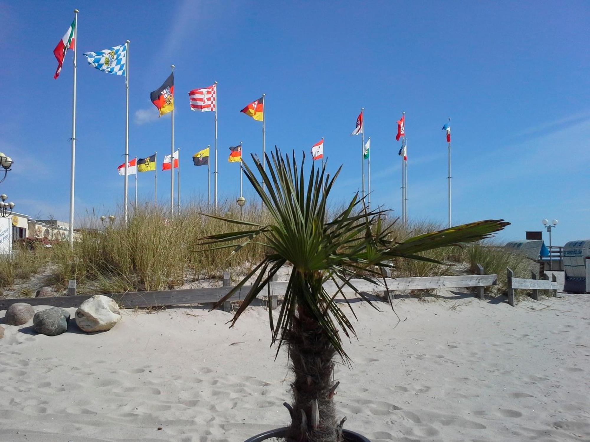 Haus Baltic - Whg 23 - Neu Inkl Saisonstrandkorb! Греміц Екстер'єр фото